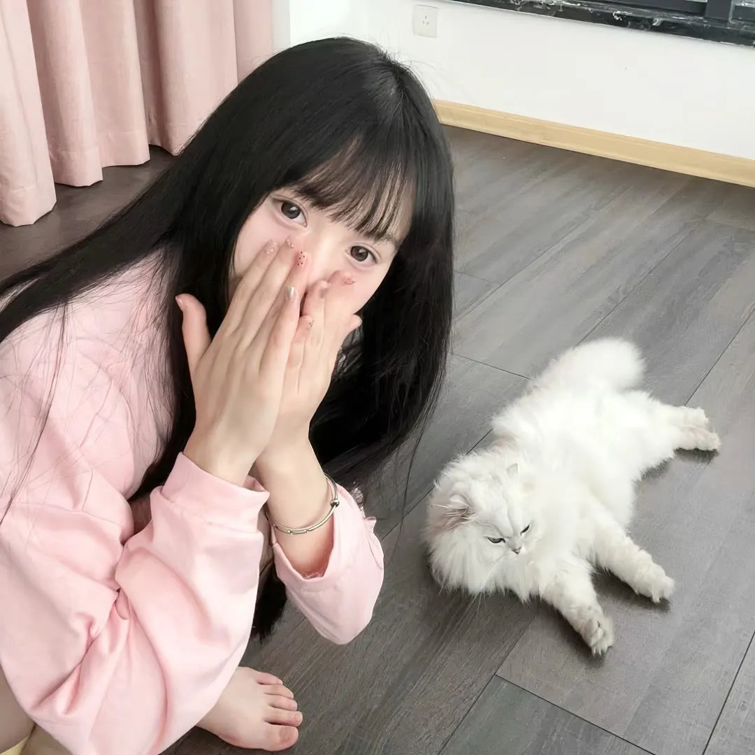卧虎藏龙